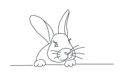 Easter bunny, the year of the rabbit