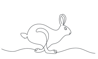 Fototapeta na wymiar Running, jumping rabbit