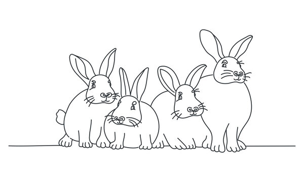 Group of funny rabbits.
