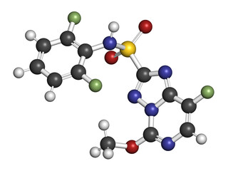 Florasulam herbicide molecule, 3D rendering.