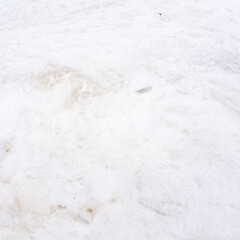 Naklejka na ściany i meble cold winter background with snowy white texture