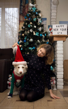 young woman and white dog in santa hat have fun at home in front of christmas tree. cozy festive atmosphere. friendship between a teenage girl and a pet