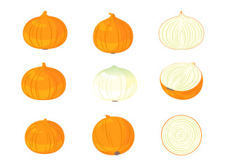 野菜イラスト　バラエティセット　タマネギ.