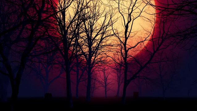 Halloween Silhouette Dead Tree and Blood Moon Background Loop. Silhouette of Halloween dead tree with big blood moon in a seamless loop animation background.