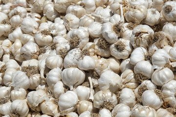 Close-up view of organic garlic. Food background.