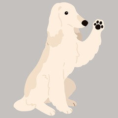 Simple and adorable Afghan Hound illustration handshake flat colored