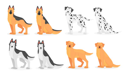Obraz premium Collection of dog breeds German Shepherd, Dalmatian, Husky, golden Retriever, Labrador. Vector isolated pet illustration.