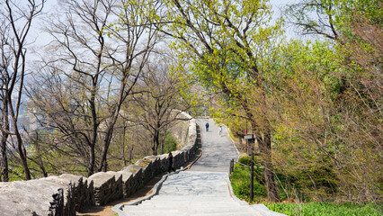 Feel the energy of spring along the fortress wall