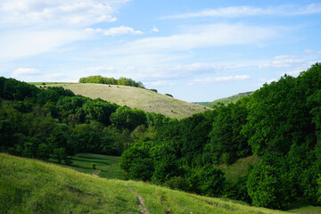 Fototapeta na wymiar Hills and forests in spring, western Ukraine.
