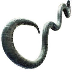 Tentacle CG Illustration with PNG Transparent Background