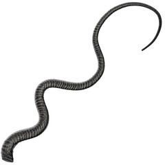 Naklejka premium Tentacle CG Illustration with PNG Transparent Background