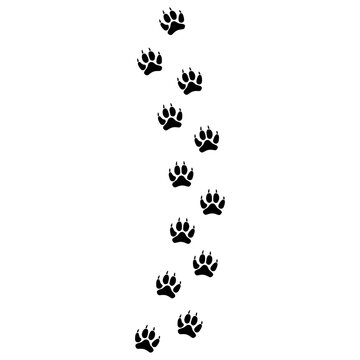 Wolf paw icon vector set. Animal footprints illustration sign collection. wild life symbol or logo.