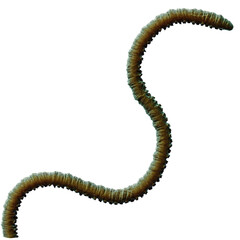 Tentacle CG Illustration with PNG Transparent Background