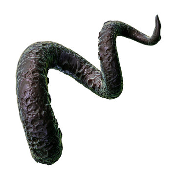 Tentacle CG Illustration with PNG Transparent Background