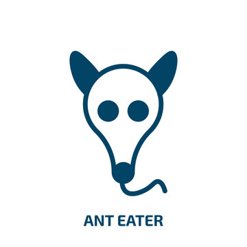 ant eater icon from animals collection. Filled ant eater, wildlife, nature glyph icons isolated on white background. Black vector ant eater sign, symbol for web design and mobile apps