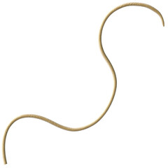 Tentacle CG Illustration with PNG Transparent Background