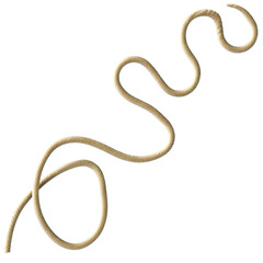 Tentacle CG Illustration with PNG Transparent Background