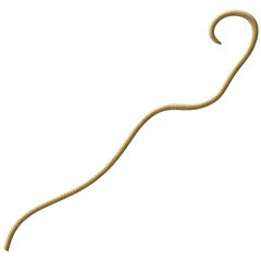 Tentacle CG Illustration with PNG Transparent Background