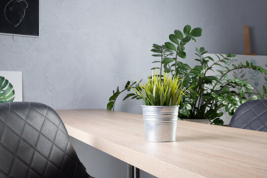 Metal Pot With Green Home Flower On The Table In Scandi Interior. High Quality Photo