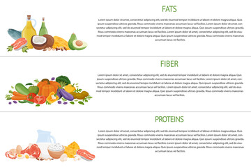 Set of healthy macronutrients. Proteins, fats and carbs presented by food products. Vector illustration of table nutrition categories. Balanced nutrition