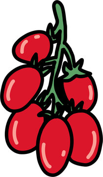 recommend clip art: doodle outline freehand sketch drawing of tomato vegetable.