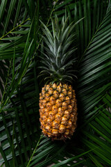Fresh pineapple on tropical leaves background.