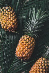 Fresh pineapple on tropical leaves background.