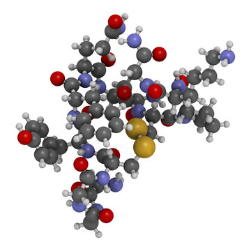 Terlipressin Drug Molecule, 3D Rendering.