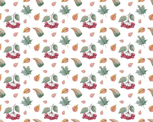 Seamless pattern of autumn berries and leaves