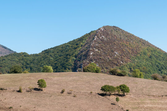 Mount Petxuberro. Aezkoa Valley