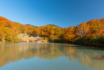 Fototapeta na wymiar Autumn leaf season in Japan
