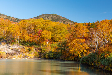 Obraz na płótnie Canvas Autumn leaf season in Japan