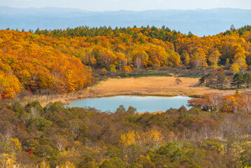 Autumn leaf season in Japan