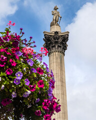 Nelsons Column on Trafalgar Square in London, UK