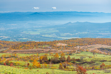 Autumn leaf season in Japan