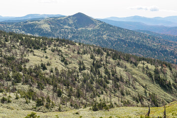 Fototapeta premium Autumn leaf season in Japan
