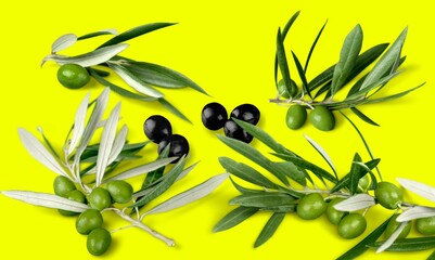 Obraz na płótnie Canvas Tasty fresh ripe olive set