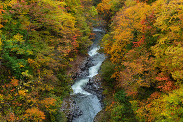 Autumn season landscape in Japan