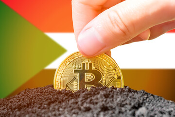 Legalization of bitcoin in Sudan. Planting bitcoin in the ground against the background of the flag...