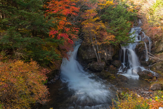 Autumn season landscape in Japan © shirophoto