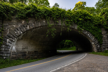 Ivy Covered Tunnel In Great Smoky Mountains National Park