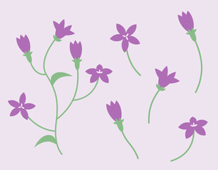 Set of campanula design elements. Wildflowers in flat style.