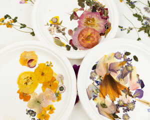 A group of various dried pressed flowers. Basic material for contemporary botanical art. Plants for scrapbooking, wedding invitations, greeting cards, gift box decorations.