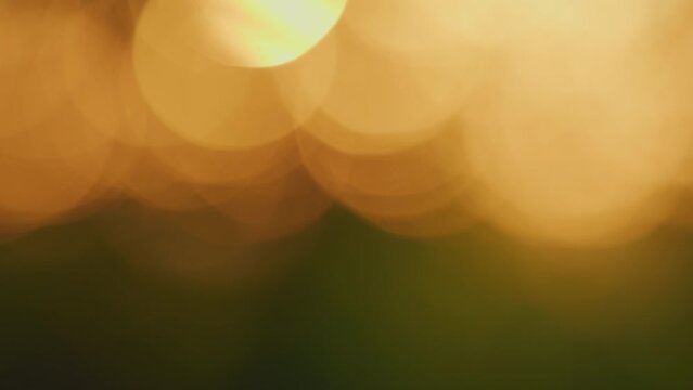 Defocused warm color leaves abstract backdrop with sun flares. Abstract nature bokeh background. Bokeh.