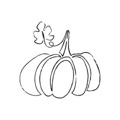 Vector hand drawn pumpkin outline doodle icon. Food sketch illustration for print, web, mobile and infographics isolated on white background.