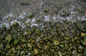 green moss on the rocks