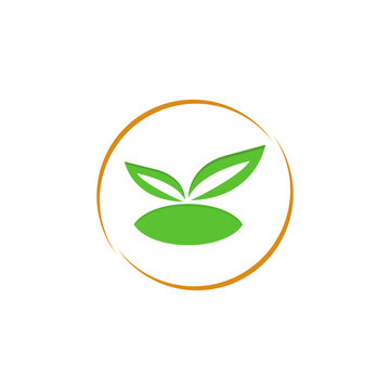 Natural leaf logo design template