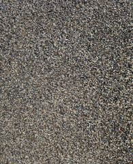 multicolored wet beach grit background reflecting the sun