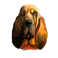 Bloodhound Dog Breed Watercolor Sketch Hand Drawn Painting Silhouette Sticker Illustration Sublimation EPS Vector Graphic - obrazy, fototapety, plakaty