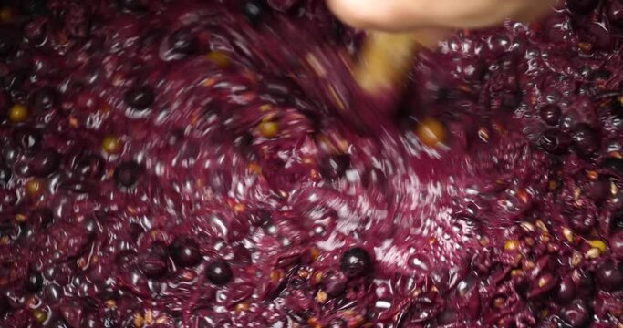 wine fermentation, the process of making wine from grapes. High quality 4k footage